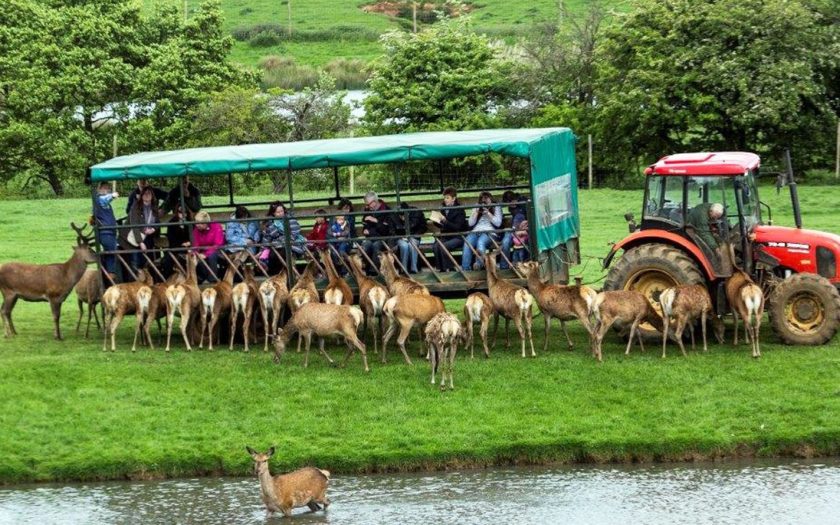 Daftar Objek Wisata di Kings Lynn yang Menarik